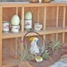 Vintage Napa Valley Wine Crate or Box in Natural Wood Finish