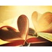 Rustic love Books