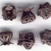 Rusty Black Cube Drawn Beads, Filigree, B'sue Boutiques, Designer Findings, Item08320