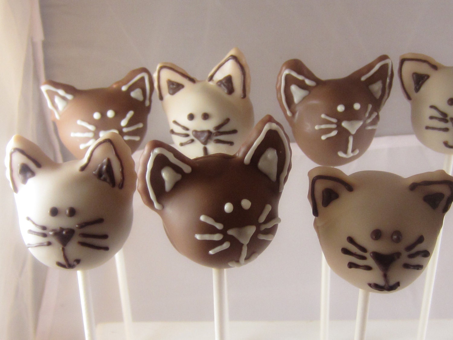 Kitty Cat Two Color Cake Pops