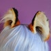 small red fox ears
