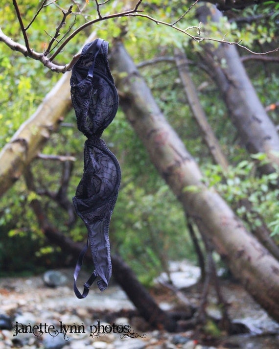 Items similar to Bra Black bra hanging in tree near Lytle Creek,CA