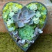 Succulent Centerpiece Succulent Heart Shape Succulent Arrangement Succulent Wedding Succulent Planter