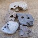 5 Pack Worm Rocks for Rock Gardens, Plant Stands, Crafts