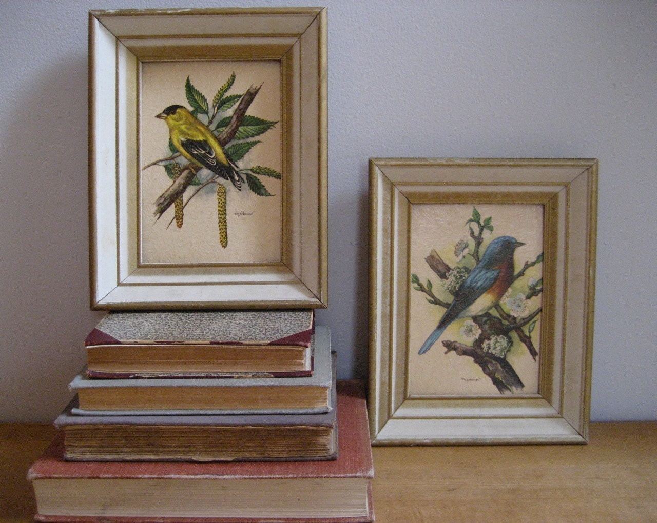 Vintage Pair Of Framed Bird Prints