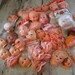 doll heads faces hands feet large collection santa dolls clowns monkeys elf