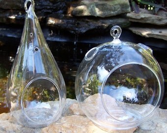Glass Hanging Terrarium Teardrop or Round Indoor Gardening DIY Wedding Centerpieces