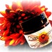 CUCUMBER & CRANBERRY SERUM ... 1 oz Sample Jar - Organic Moisture for the Face