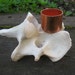 Real Bone Cone Incense Burner 9