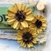 Daisy Flower Set - Vintage Yellow She Daisies Scrapbook Embellishment Card Tag Mini Album Layout