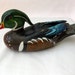 Wood Duck Hand Carved