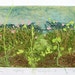 Hedgerow Flowers. Spring. Collograph mono print. Hand printed. OOAK.