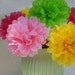 40 Stemmed Tissue Paper Flowers...Choose Your Colors.... Birthday Party and Baby Shower Decorations