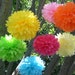 20 Tissue Paper Poms Plus 5 Free Flowers...ANY COLORS..Wedding Decor