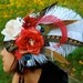 GYPSY ROSE Feather Headdress SALE
