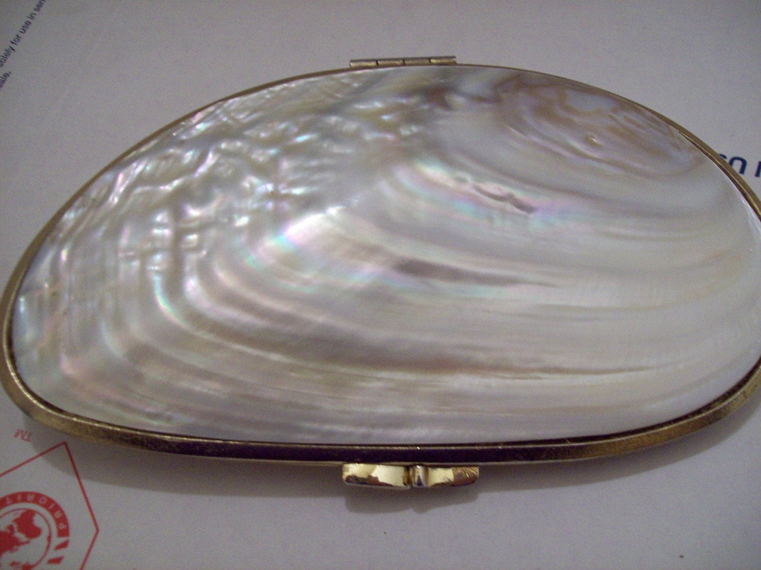 Exquisite Sea Shell Clutch Jewelry Box or by WhistfulDreams