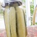Homemade Dill Pickles