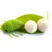 Spit Bug Catnip Cat Toy Gift Box - Needle Felted Wool