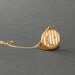 Victorian Moon & Star Locket . Striped . Crescent . Fischer .