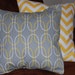 Grey and Yellow Throw Pillow Cover