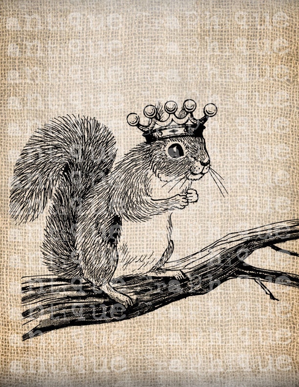 Antique Crown Cute Squirrel Digital Download by 