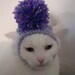 Hand Knitted Pom Pom Hat for a Cat - Shades of Lilac and Purple