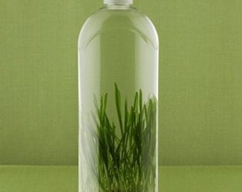 Make Your Own All Natural Liquid Dish Soap - PDF INSTANT DOWNLOAD - plus one recipe free