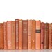 Faded Pumpkin Shabby Chic 13 Book Library Filler Collection Shabby Chic Interior Design Vintage Book Decor