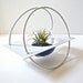 Limited Edition! Air Plant Rocking Chair Terrarium, Airplant Holder, Roly Poly Glass Vase, Rocking Vase, Rocking Glass Vase, Roly Poly Vase