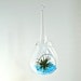 SALE Hanging Handblown Glass Raindrop Air Plant Terrarium, Glass Drop Terrarium, Tear Drop Terrarium, Water Drop Terrarium, Teardrop Glass