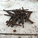 Lot of 25 Square Head Metal Nails