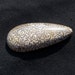 Texas Petrified Palm Wood Designer Cabochon