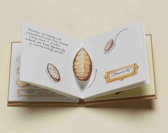 Shells - a limited edition handmade pop-up artist's book