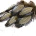 RESERVED FOR ANNIE Olive Green Feathers, Black Laced Hen Feathers