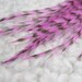 Pink Grizzly Craft Feathers, Hair Feathers