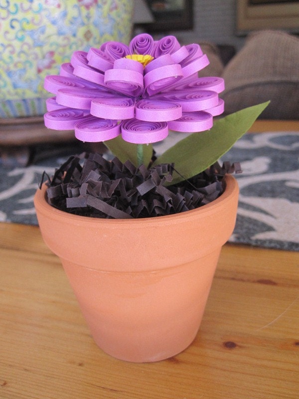 Small Quilled Purple Potted Zinnia Flower