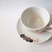 Spring Flowers - Tea Cup
