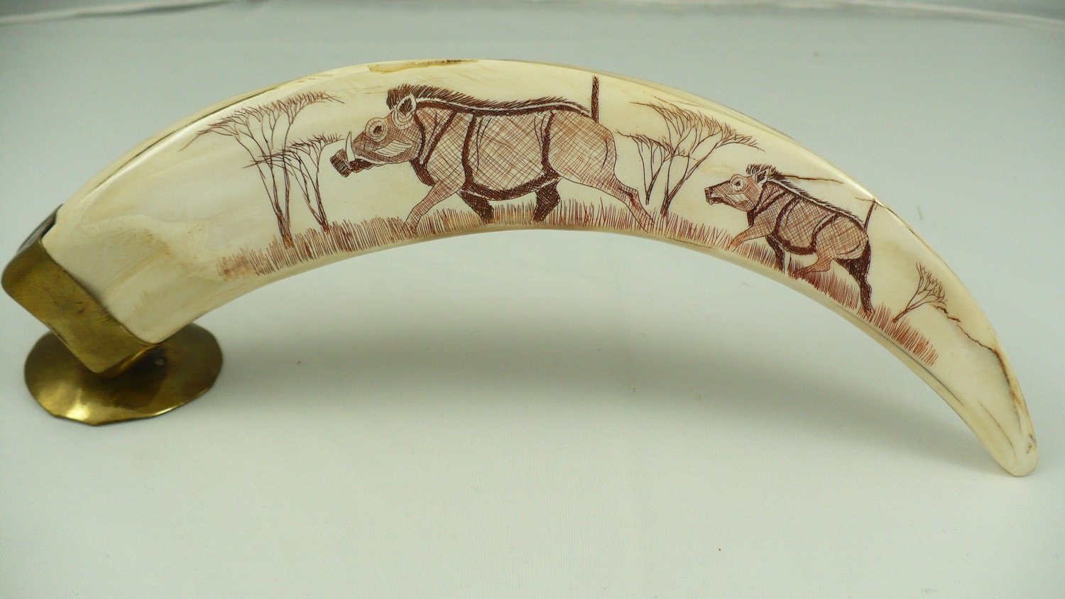 African Scrimshaw Warthog Tusk Boars ITEM M25