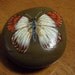 Butterfly hand painted rock