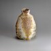 Shigaraki, anagama, ten-day anagama wood firing, with natural ash deposits sake bottle. tokuri-55