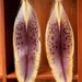 Purple Stargazer Oriental Lily Pressed Flower Petal Earrings