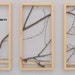 Birch Branch Wall Hanging Triptych,Original Art, Urban, Rustic Art