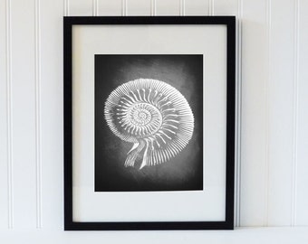 chalkboard art print,chalkboard,chalk board, art,print,shell, ocean, beach,black and white print, 8x10 print,crustacean,blackboard,decor