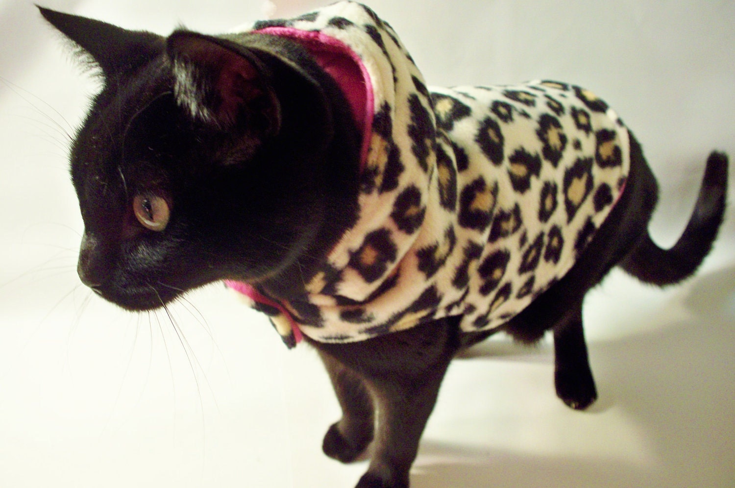 Cat Clothes Cat Jacket Leopard Fleece and by RockinDogsCoolCats