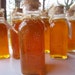 Honey Vintage Glass Bottle 1 Pound