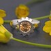 Imperial Garnet Ring - Stone Set In Satin Finished Silver Ring