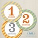 Monthly Onesie Stickers, Yellow, Gray & Orange Diagonal, 3-inch circle stickers, professionally printed