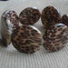 Leopard Safari Stretchy Bracelet