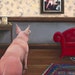 Pig art Fine art giclee print on watercolor paper 6"x8" Nostalgia Pig