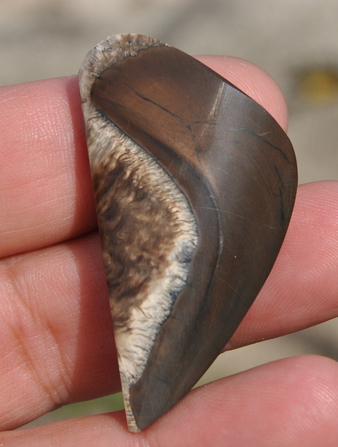 Prehistoric Mastodon Tooth Cabochon Hand carved designer